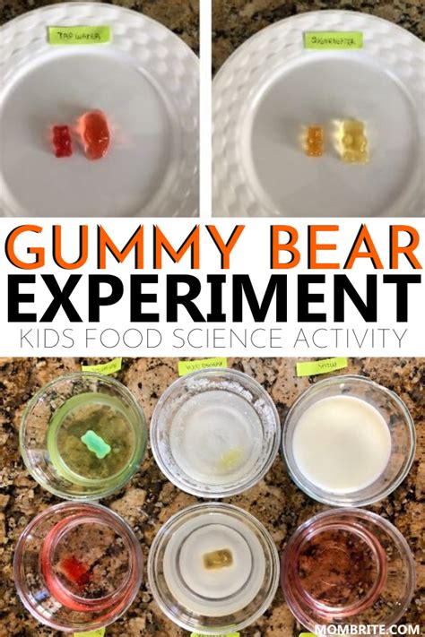 How To Make Edible Slime With Gummy Bears Artofit