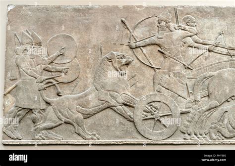 Lion Hunt Assyrian Relief Sculpture From Nimrud North West Palace