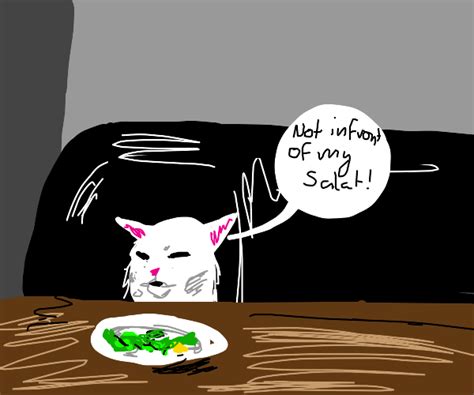 Salad Meme Cat Drawception