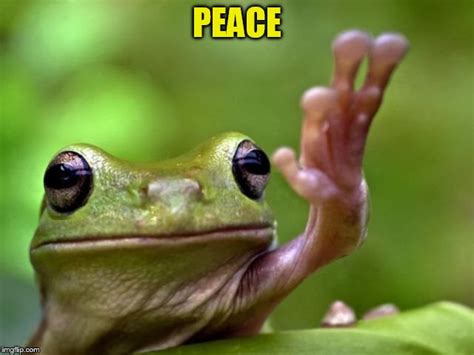 Wishing Peace For All Imgflip