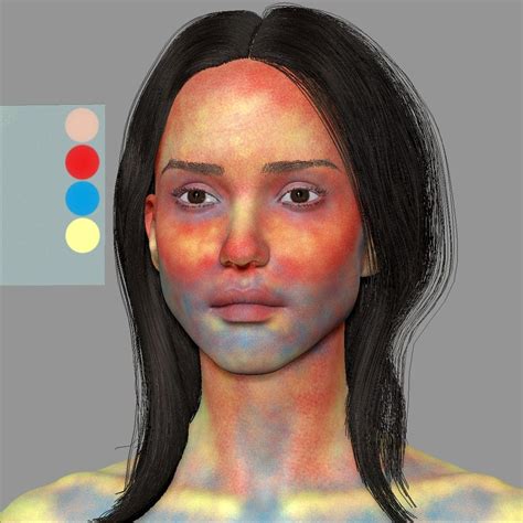 Image Result For Color Zones Of The Face Skin Paint
