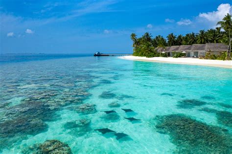 15 Things You Didnt Know About The Maldives — The Second Angle