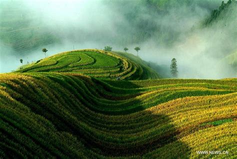 Scenery Of Terraced Fields In Sw China Aerial View Scenery Places