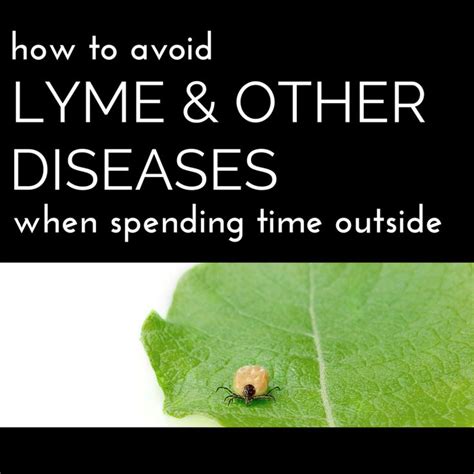 Protecting Yourself The Best Way From Lyme Disease Lyme Disease