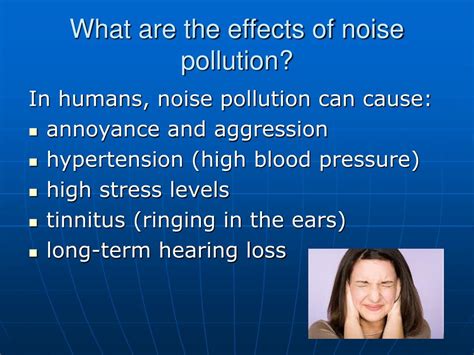 Ppt Human Impacts On Ecosystems Noise Pollution Powerpoint