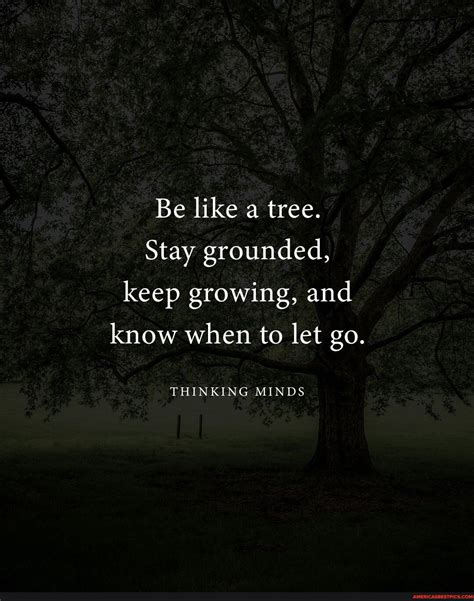 Be Like A Tree 🌳 Be Like A Tree Stay Grounded Keep Growing And