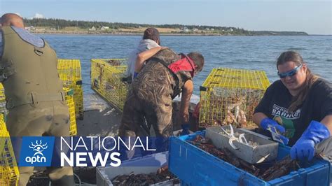 Mikmaw Harvesting Lobster In Nova Scotia Under Heavy Police Dfo