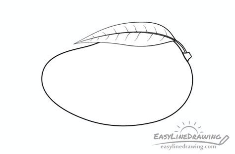 How To Draw A Mango Step By Step Easylinedrawing