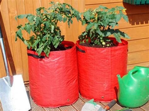 Tomato Planters 2 Pack Grow Your Own Tomatoes Anywhere