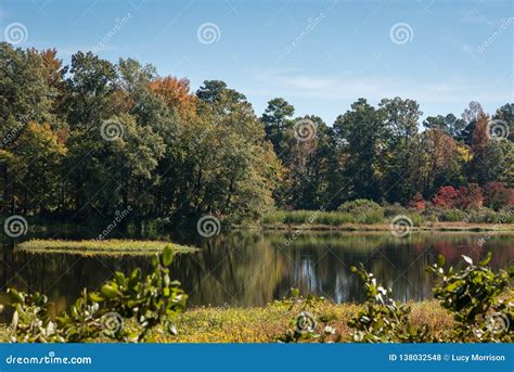 Sunny Autumn Day By The Lake Stock Photo Image Of Nature River