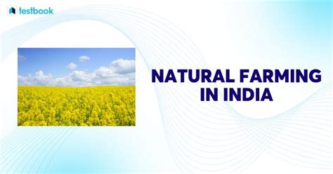 Natural Farming In India Characteristics Examples And Scope