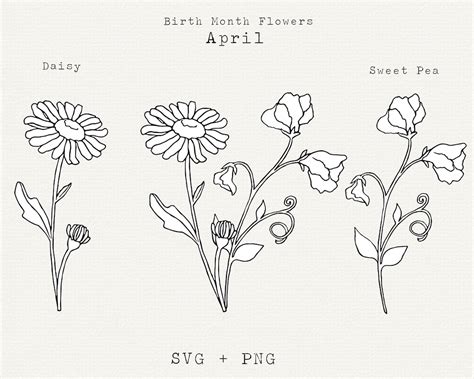 Daisy SVG, Sweet Pea SVG, April Birth Month Flower SVG, April Birthday