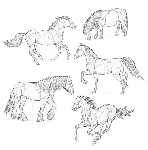 Horse Drawing Easy Step By Step At Getdrawings Free Download