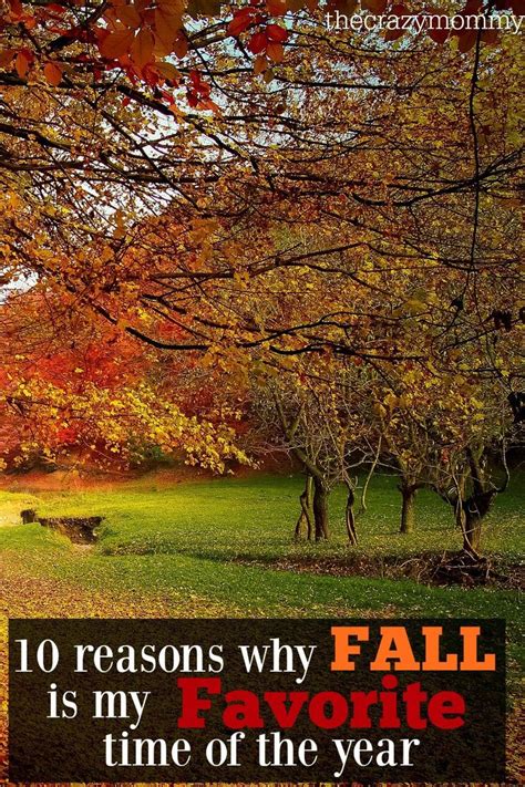 10 Reasons Why Fall Is My Favorite Time Of The Year Free Fall