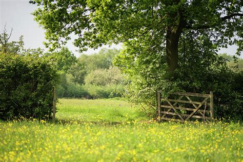 Beautiful English Countryside Landscape Image Of Meadow In Sprin 2