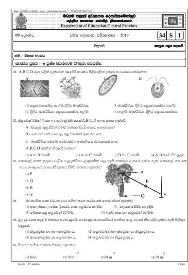 Grade Sinhala Paper Set Grade Sinhala Rd Term Test Model My Xxx Hot
