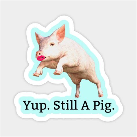 What Is The Saying About Putting Lipstick On A Pig Meme