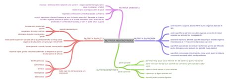 Nutritia Heterotrofa Coggle Diagram