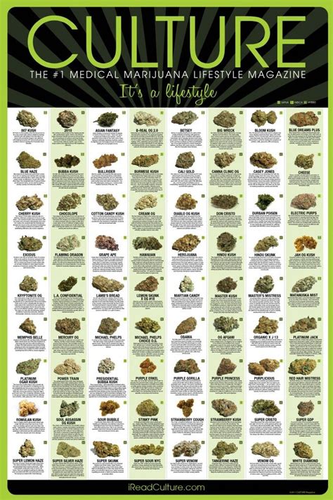 Varieties Of Cannabis 12 Different Strains Of Weed And Their Effects