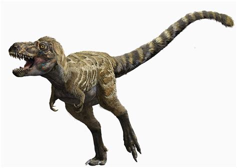 T Rex Had Feathers And Other Surprising Facts About The Popular Predator