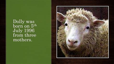 How Dolly Sheep Was Cloned Cloning Scientific By Dailydot