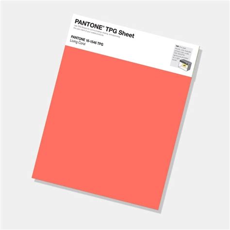 Pantone Colour Of The Year 2019