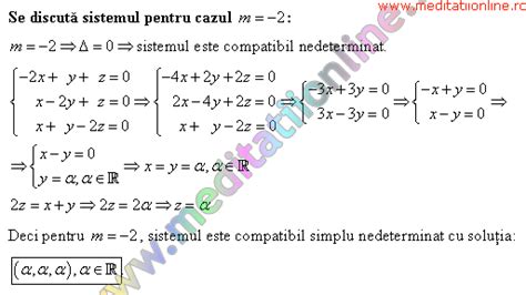 Probleme Rezolvate La Matematica Sisteme De 3 Ecuatii Omogene Cu 3