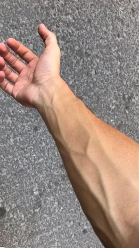 Veiny Hand In Grabbing Hands Aesthetic Instagram Theme Hand