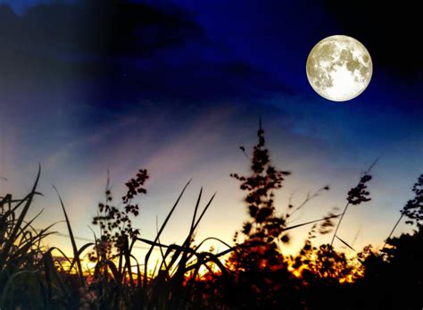 Luna piena e fasi lunari oggi. Ultima Superluna dell'anno: la Luna piena dei Fiori, 7 maggio