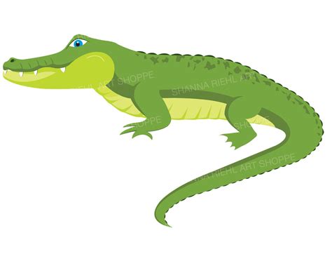 Alligator Clipart Crocodile Digital Download Art Etsy