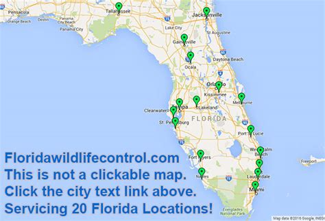 As a licensed pest control company in naples, fl, we will inspect your home or business free of charge to determine the best way to solve your predicament. Florida Wildlife Management Locations