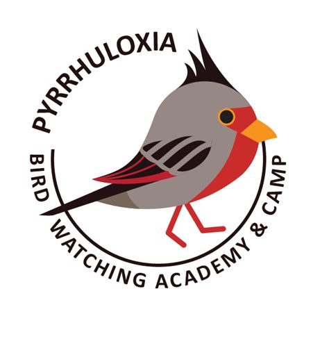 Pyrrhuloxia Bird Watching Academy