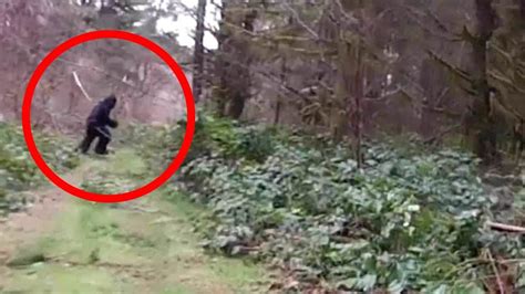10 Real Bigfoot Sightings Caught On Tape Youtube