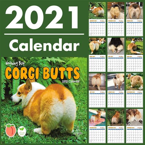 Corgi Butts 2021 Funny Dog Calendar Perfect T For Dog Lovers Whi