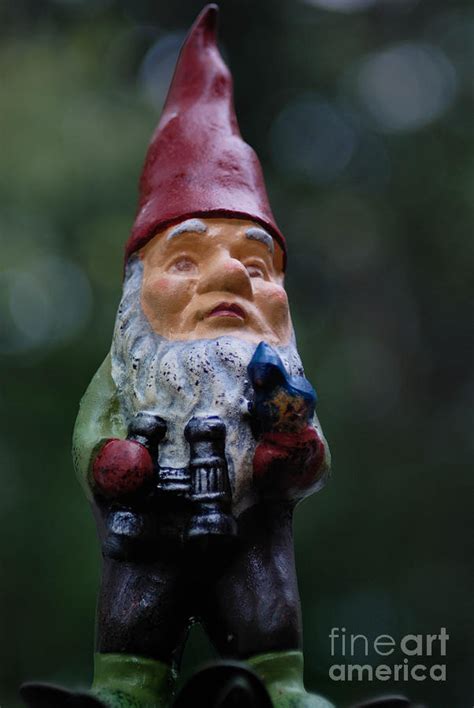 Portrait Of A Garden Gnome Photograph By Amy Cicconi Fine Art America