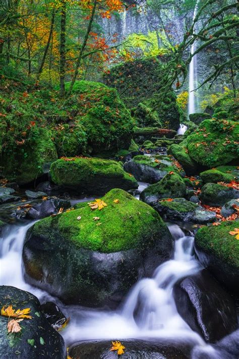 Elowah Falls Columbia Gorge Photography Guide Photographers Trail Notes