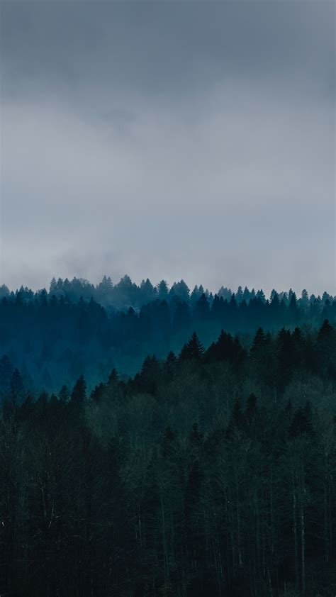 Download Wallpaper 2160x3840 Forest Fog Trees Top View Sky Samsung