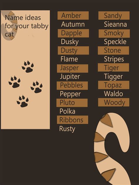 Tabby Cat Names The Unusual Markings Of A Tabby Cat Deserve A Special