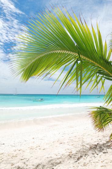 Beautiful Caribbean Beach In Dominican Republic Photographic Print