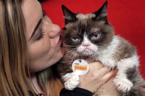 Grumpy Cat Dead Internet Famous Tardar Sauce Who Inspired Memes And A