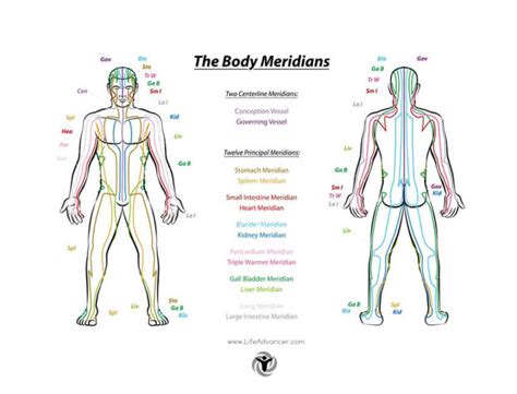 Meridian Acupuncture 12 Powerful Points You Should Know
