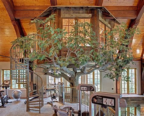 20 Awesome Indoor Tree Houses