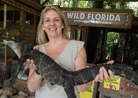 Airboat Gator Tours Wild Florida
