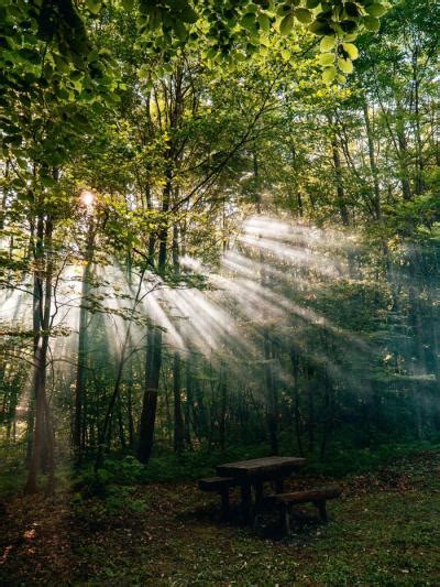 Official ohiopyle state park twitter. Ohiopyle Camping - Private Laurel Highlands Campground