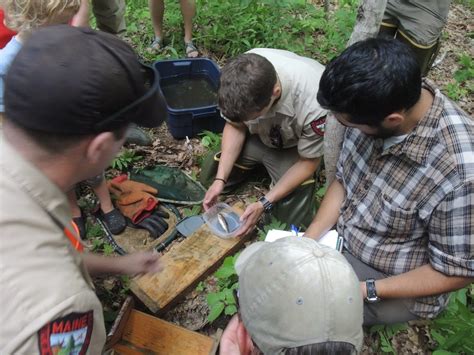 Biologists Research Migratory Patterns Of Coastal Stream Brook Trout