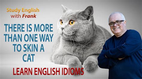 Learn English Idioms There Is More Than One Way To Skin A Cat Youtube