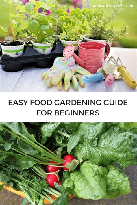 Easy Food Gardening Guide For Beginners Food Garden Healthy Garden