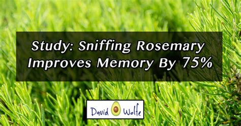 Study Smelling Rosemary Increases Memory By 75 David Avocado Wolfe