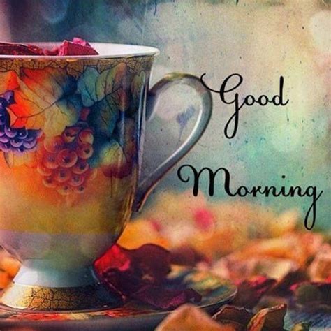 Check spelling or type a new query. Photo: Good morning friends. It is a beautiful sunny fall ...