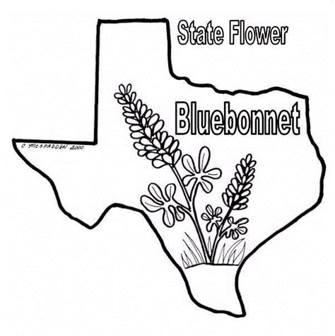 The texas state flag is the 1839 national flag of the republic of texas; coloring pages Texas | texas bob s texas coloring sheets ...